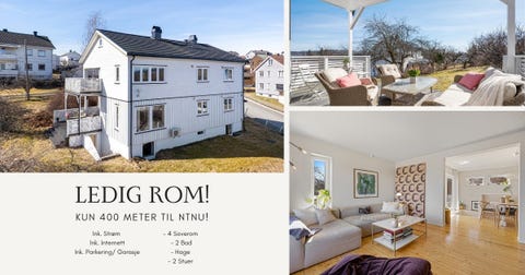 Bilde 1 av annonsen
