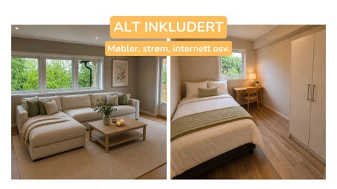 Bilde 1 av annonsen