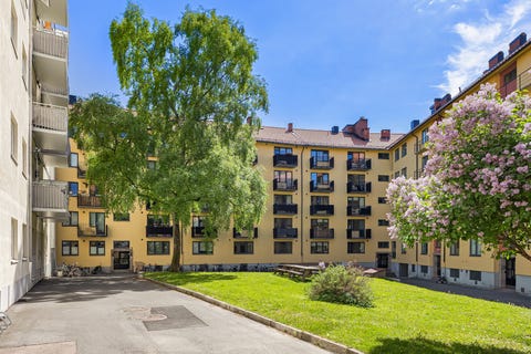Bilde 2 av annonsen