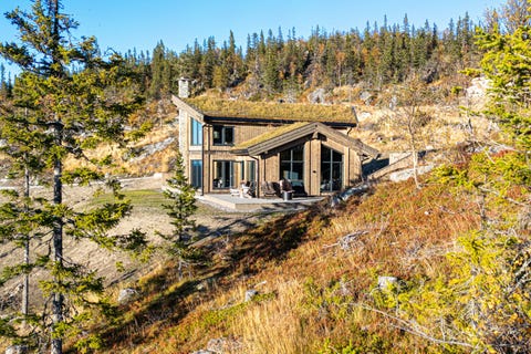 Bilde 2 av annonsen