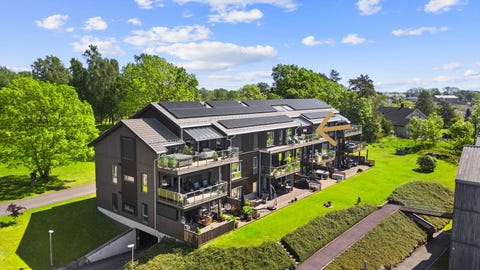 Bilde 1 av annonsen