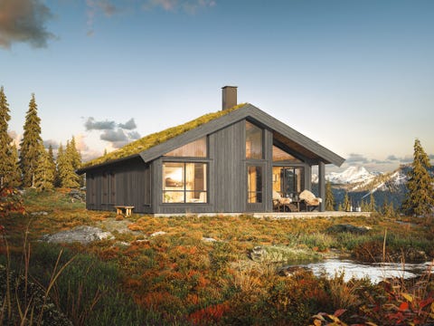 Bilde 1 av annonsen