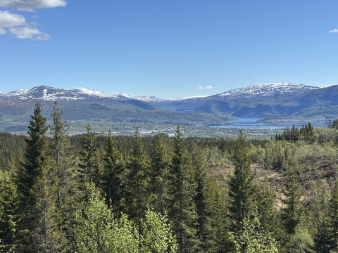 Bilde 2 av annonsen