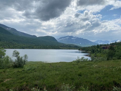 Bilde 1 av annonsen
