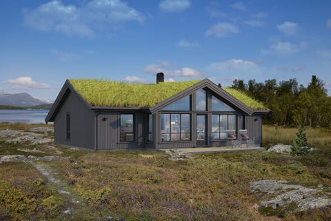 Bilde 1 av annonsen