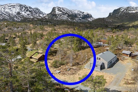 Bilde 1 av annonsen