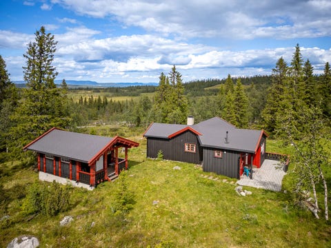 Bilde 2 av annonsen