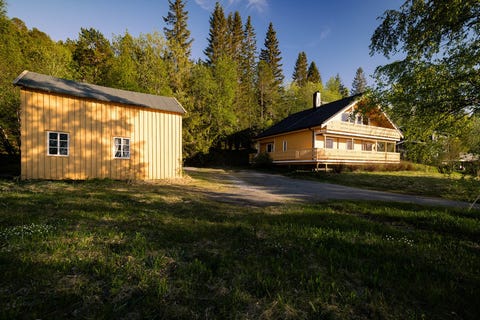 Bilde 1 av annonsen