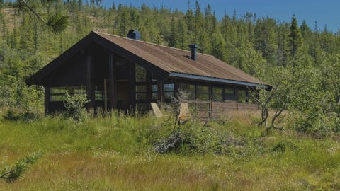 Bilde 1 av annonsen