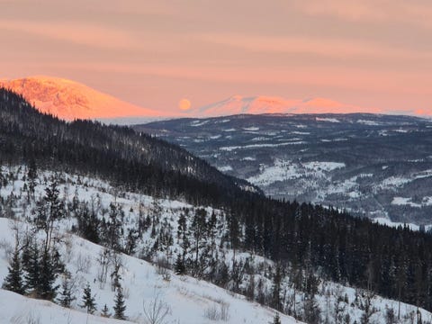 Bilde 2 av annonsen