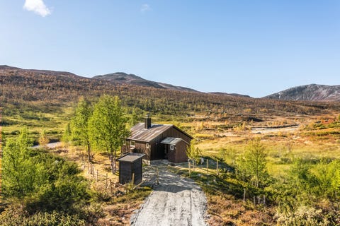 Bilde 1 av annonsen