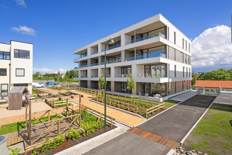 Bilde 2 av annonsen