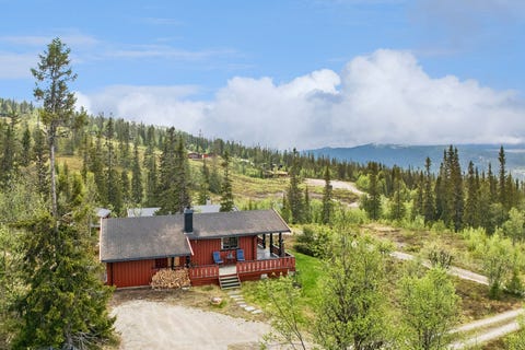 Bilde 1 av annonsen