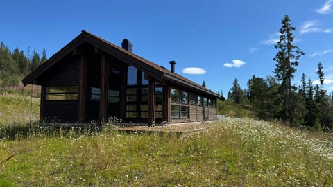 Bilde 1 av annonsen