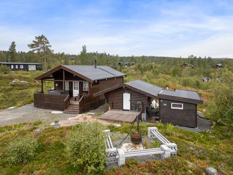Bilde 1 av annonsen
