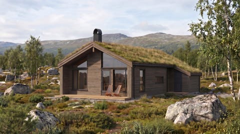 Bilde 1 av annonsen