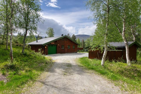 Bilde 1 av annonsen