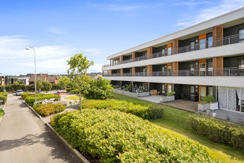Bilde 2 av annonsen