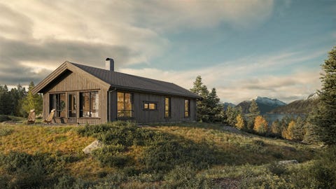 Bilde 1 av annonsen