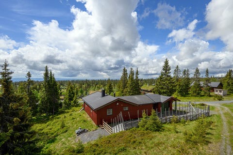Bilde 1 av annonsen