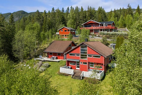 Bilde 1 av annonsen