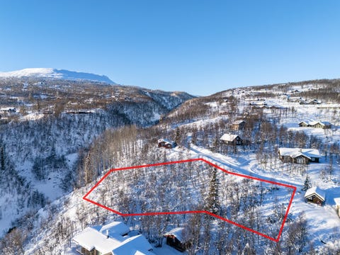 Bilde 2 av annonsen