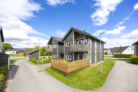 Bilde 1 av annonsen