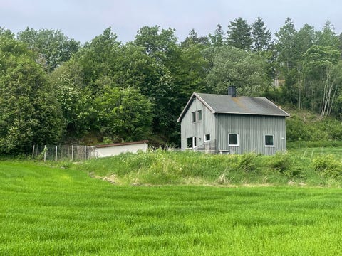 Bilde 1 av annonsen