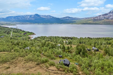 Bilde 1 av annonsen