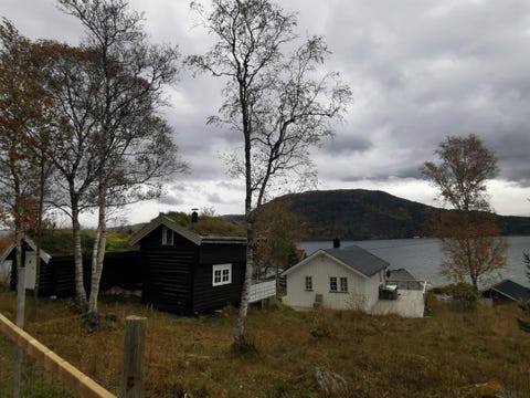 Bilde 1 av annonsen