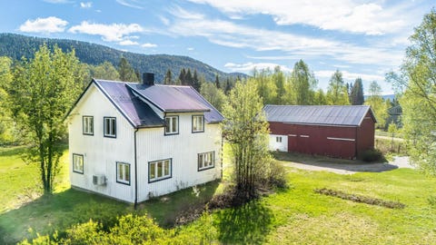 Bilde 1 av annonsen
