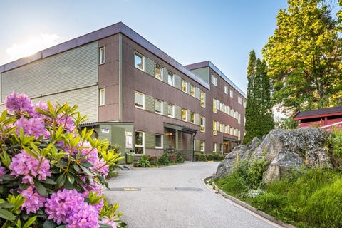 Bilde 2 av annonsen