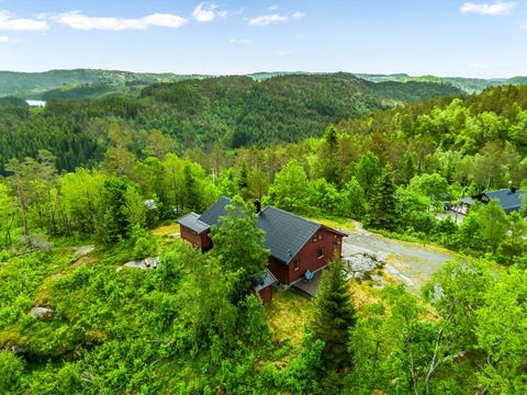 Bilde 2 av annonsen