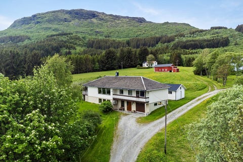 Bilde 1 av annonsen