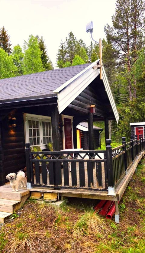 Bilde 2 av annonsen