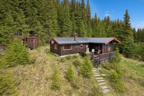 Bilde 1 av annonsen