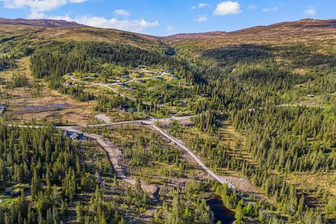 Bilde 2 av annonsen