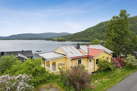 Bilde 1 av annonsen