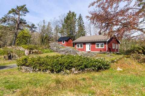 Bilde 1 av annonsen