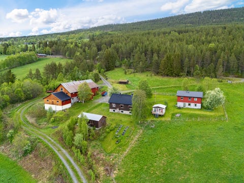Bilde 1 av annonsen