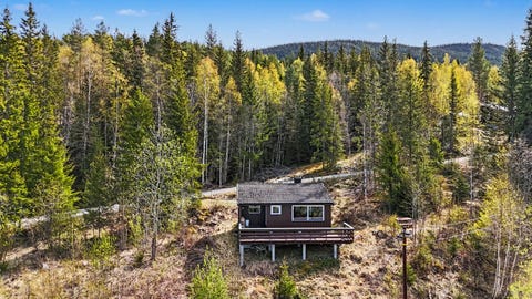 Bilde 1 av annonsen