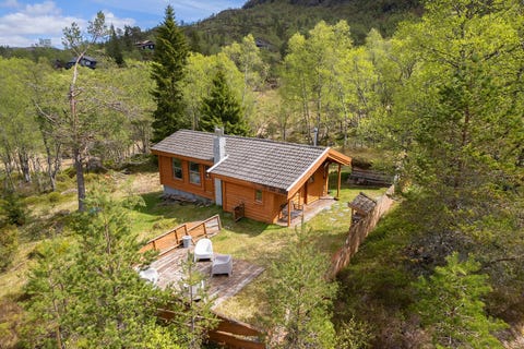 Bilde 1 av annonsen