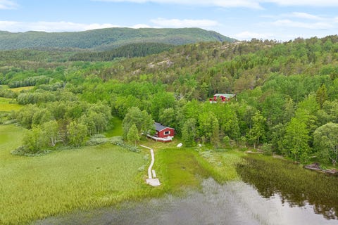 Bilde 1 av annonsen