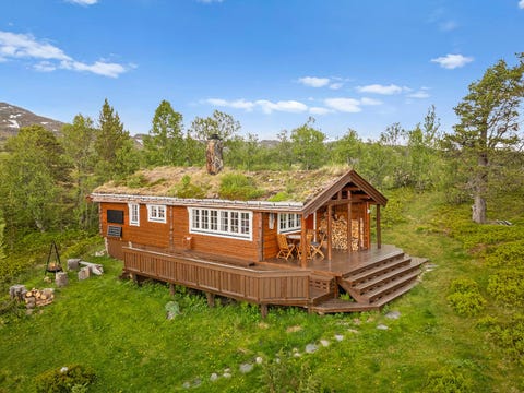 Bilde 1 av annonsen