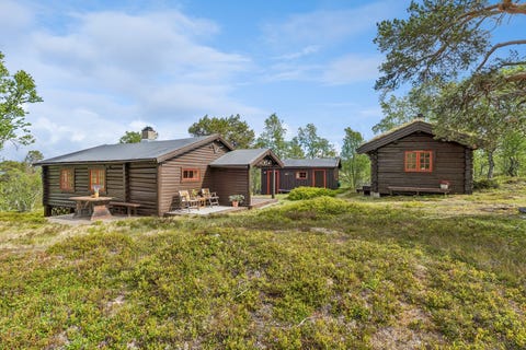 Bilde 1 av annonsen