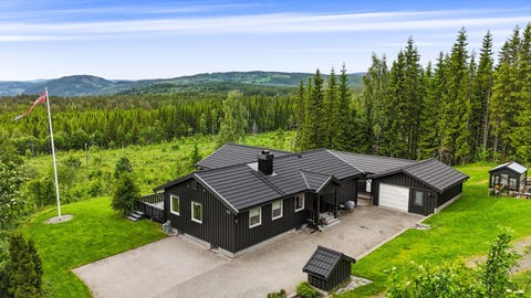 Bilde 1 av annonsen