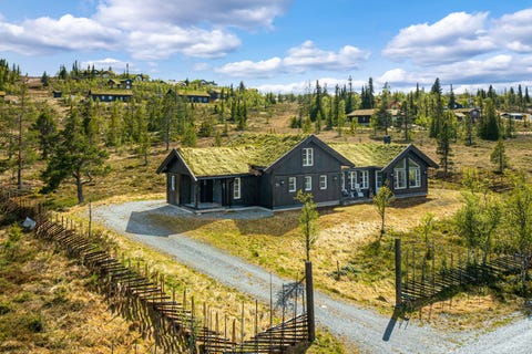 Bilde 2 av annonsen