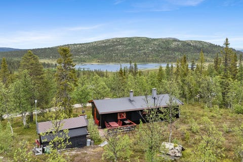 Bilde 1 av annonsen