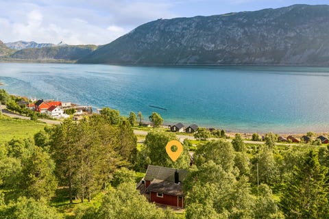 Bilde 1 av annonsen