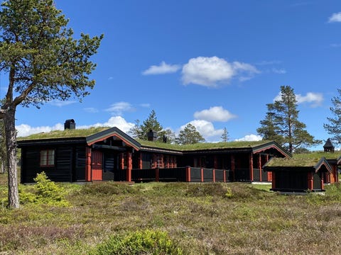 Bilde 1 av annonsen